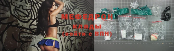 прущие грибы Вязьма
