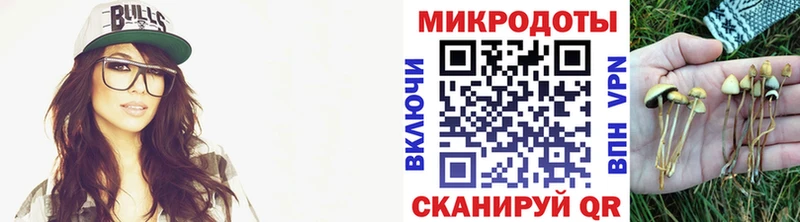 Галлюциногенные грибы прущие грибы  Плёс 